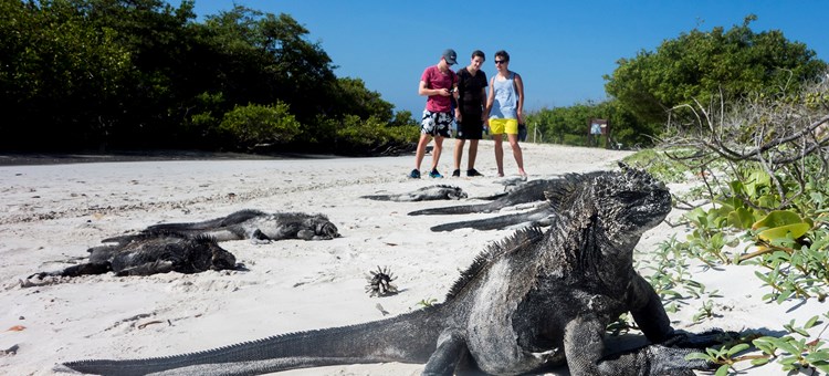 Galapagos 5