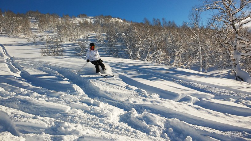 B26a8003b4bce4be4a275539a5daeaad 3000